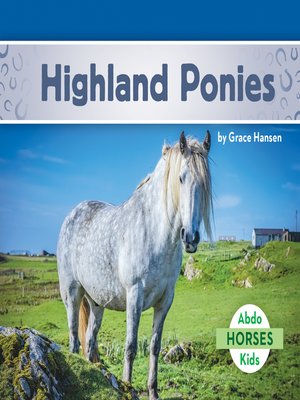 cover image of Highland Ponies